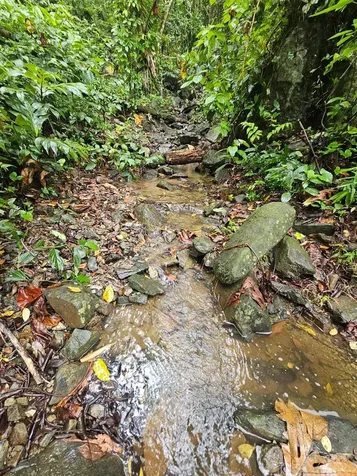 Pr 970 Maizales Ward Naguabo PR 00718