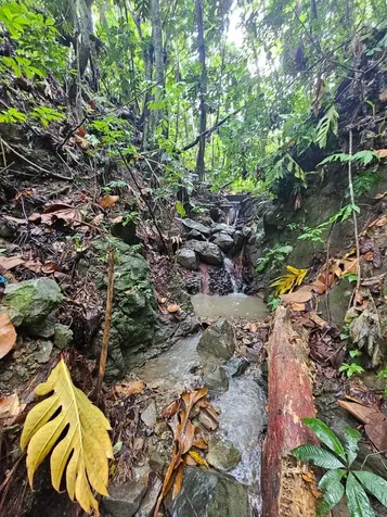 Pr 970 Maizales Ward Naguabo PR 00718