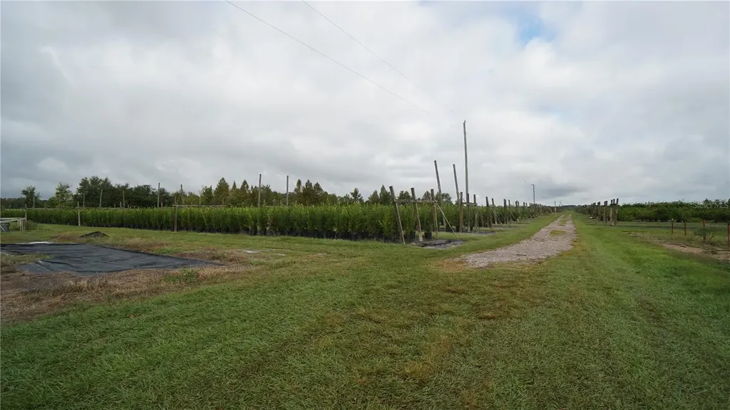 Douglas Road Groveland FL 34736