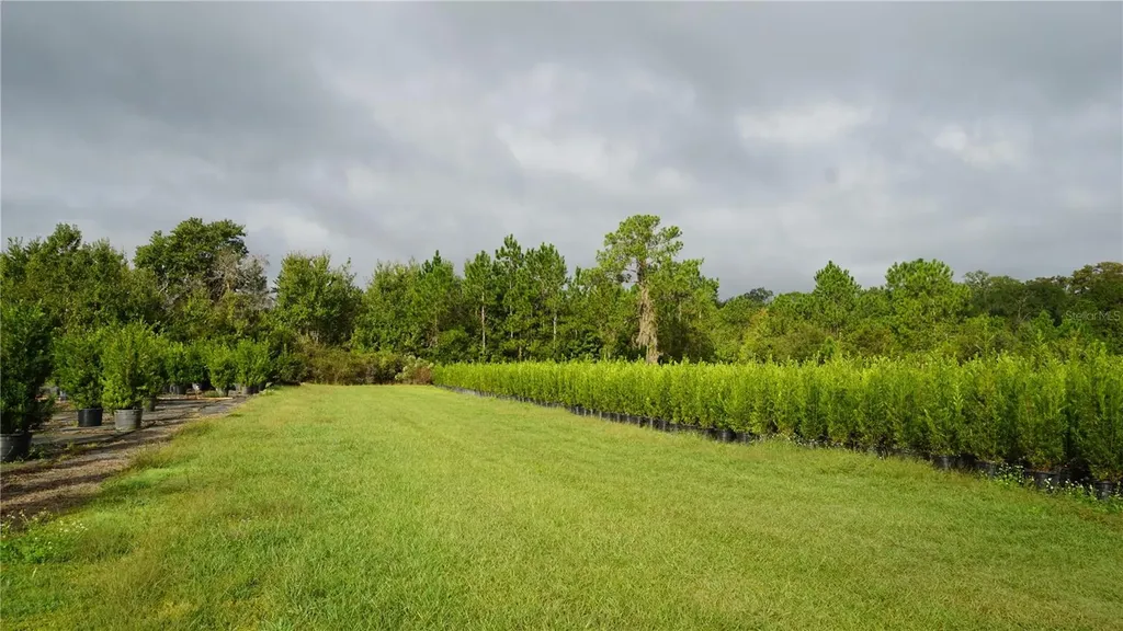 Douglas Road Groveland FL 34736