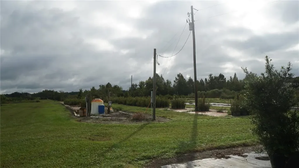 Douglas Road Groveland FL 34736