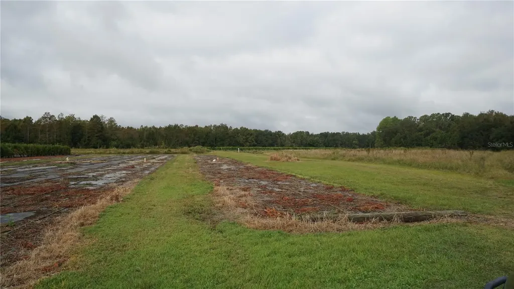 Douglas Road Groveland FL 34736