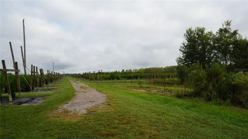 Douglas Road Groveland FL 34736