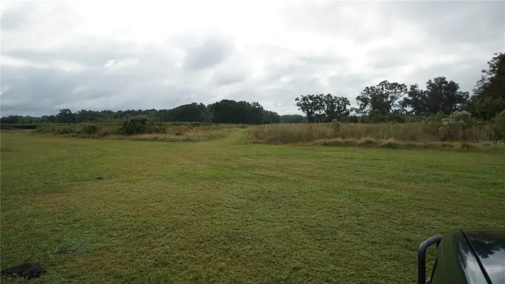 Douglas Road Groveland FL 34736