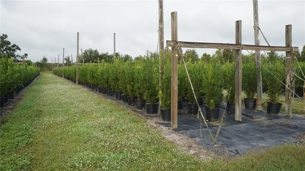 Douglas Road Groveland FL 34736