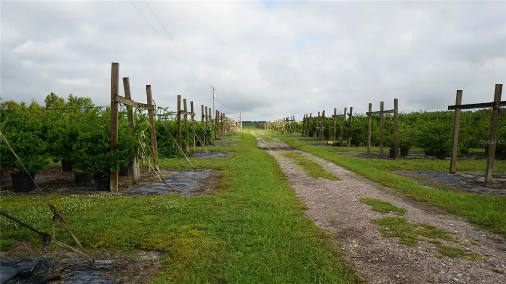Douglas Road Groveland FL 34736