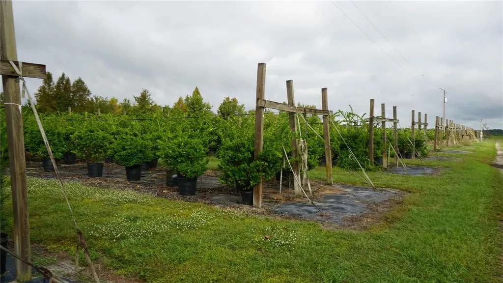 Douglas Road Groveland FL 34736