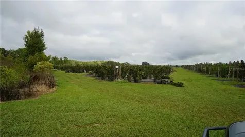 Douglas Road Groveland FL 34736