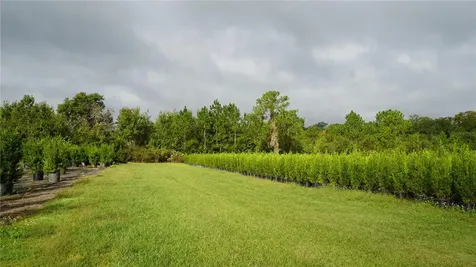 Douglas Road Groveland FL 34736