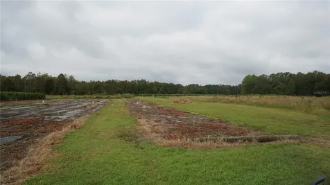 Douglas Road Groveland FL 34736