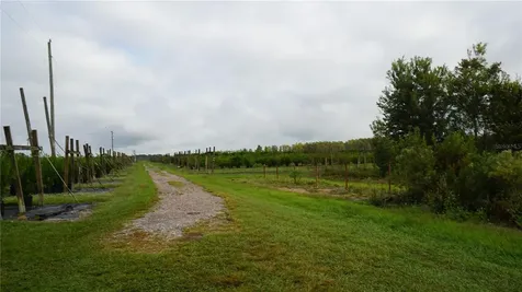 Douglas Road Groveland FL 34736