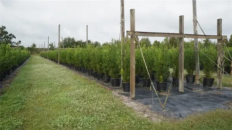 Douglas Road Groveland FL 34736