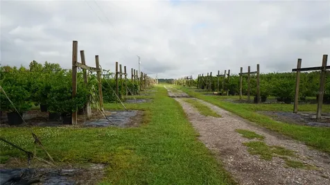 Douglas Road Groveland FL 34736