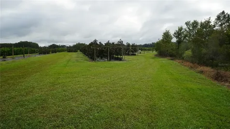 Douglas Road Groveland FL 34736