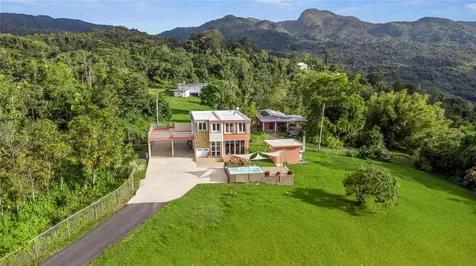 Carr. 960 Km. 17.6 Bo.guzman Arriba Rio Grande PR 00745