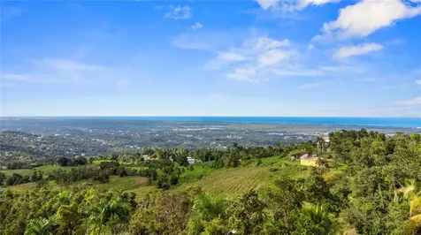Carr. 960 Km. 17.6 Bo.guzman Arriba Rio Grande PR 00745
