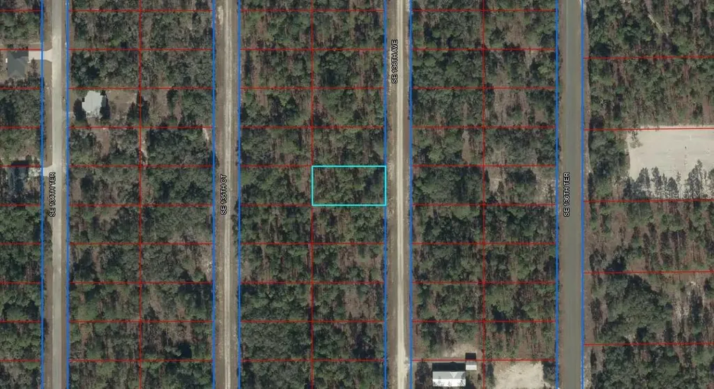 Lot 10 SE 136th Avenue Dunnellon FL 34431