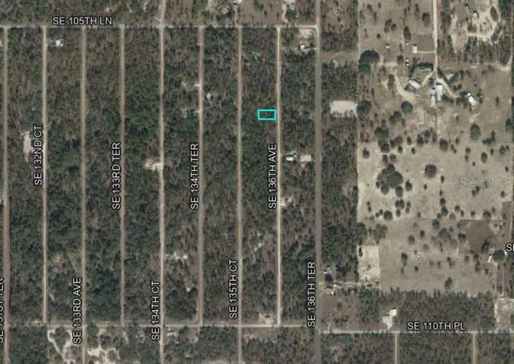 Lot 10 SE 136th Avenue Dunnellon FL 34431