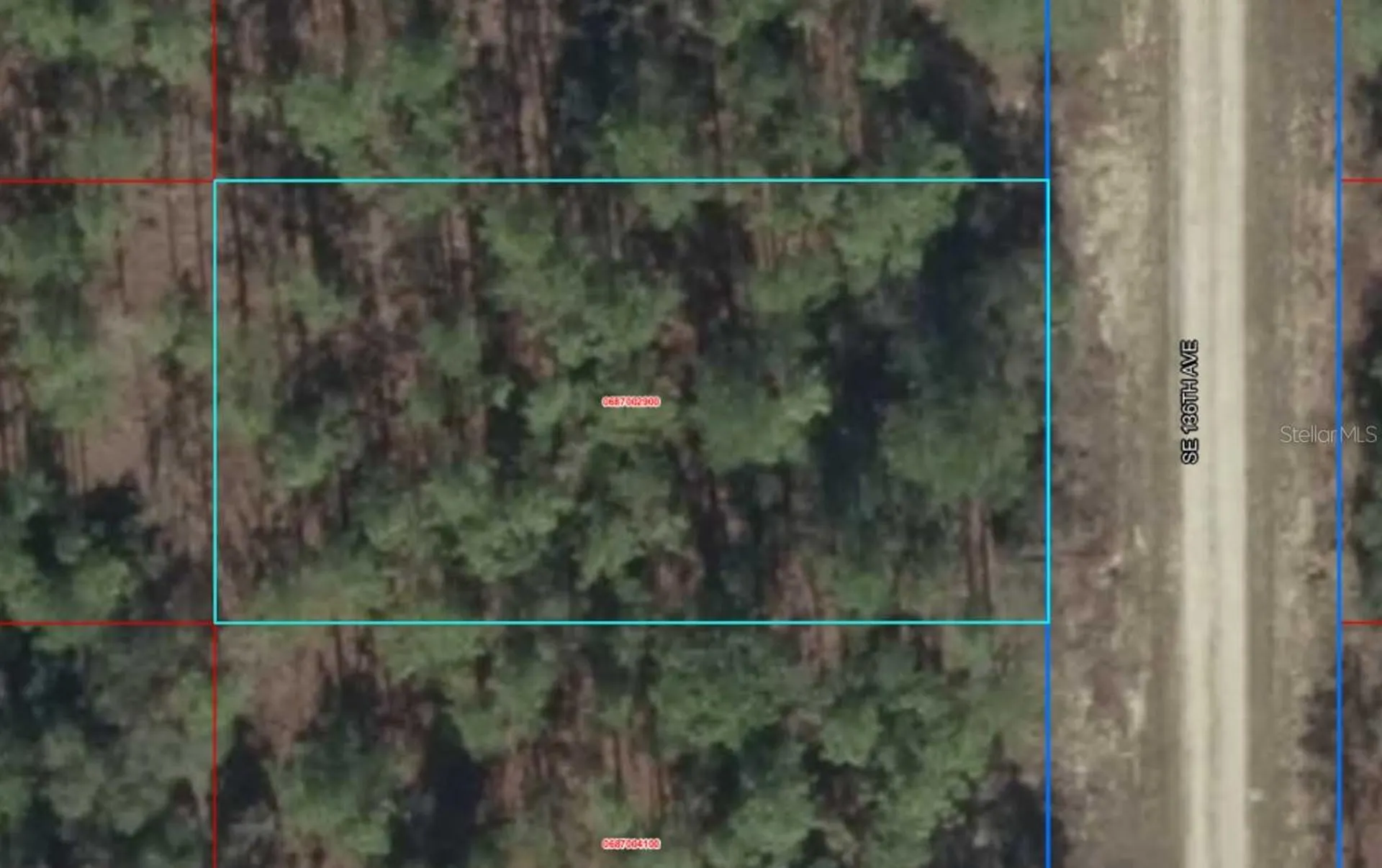 Lot 10 SE 136th Avenue Dunnellon FL 34431