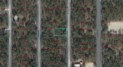 Lot 10 SE 136th Avenue Dunnellon FL 34431