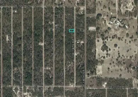 Lot 10 SE 136th Avenue Dunnellon FL 34431