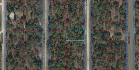 Lot 10 SE 136th Avenue Dunnellon FL 34431