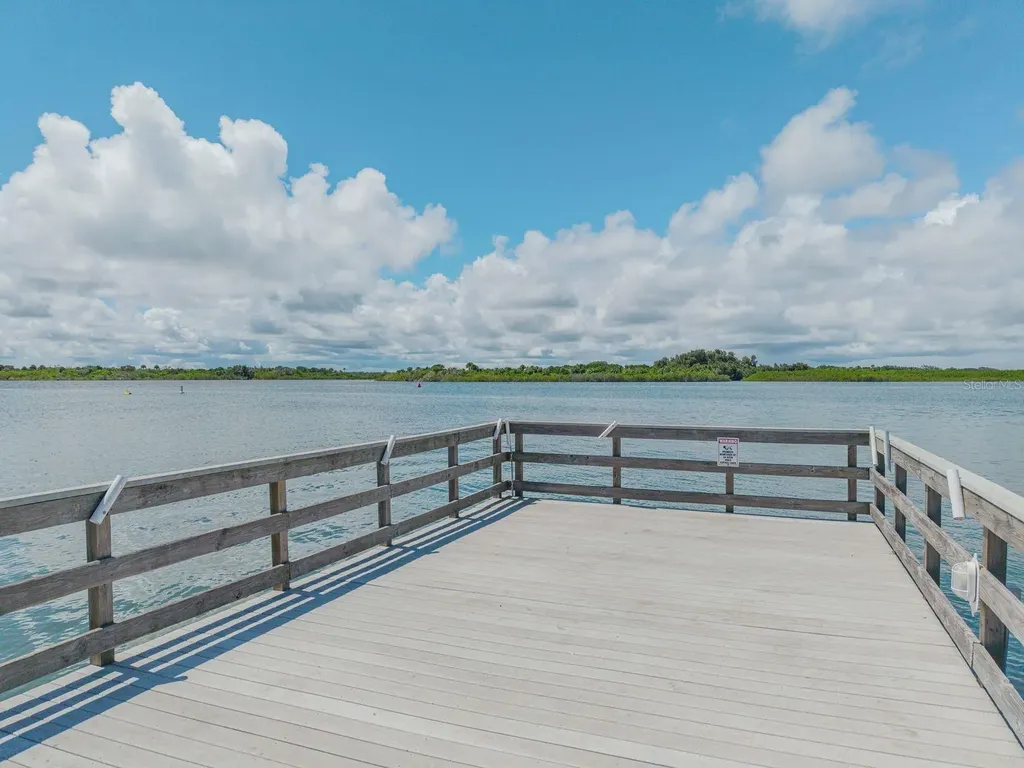 259 Minorca Beach Way New Smyrna Beach FL 32169