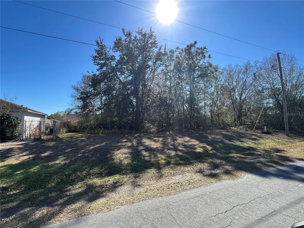Cambourne Drive Kissimmee FL 34758