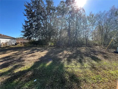 Cambourne Drive Kissimmee FL 34758