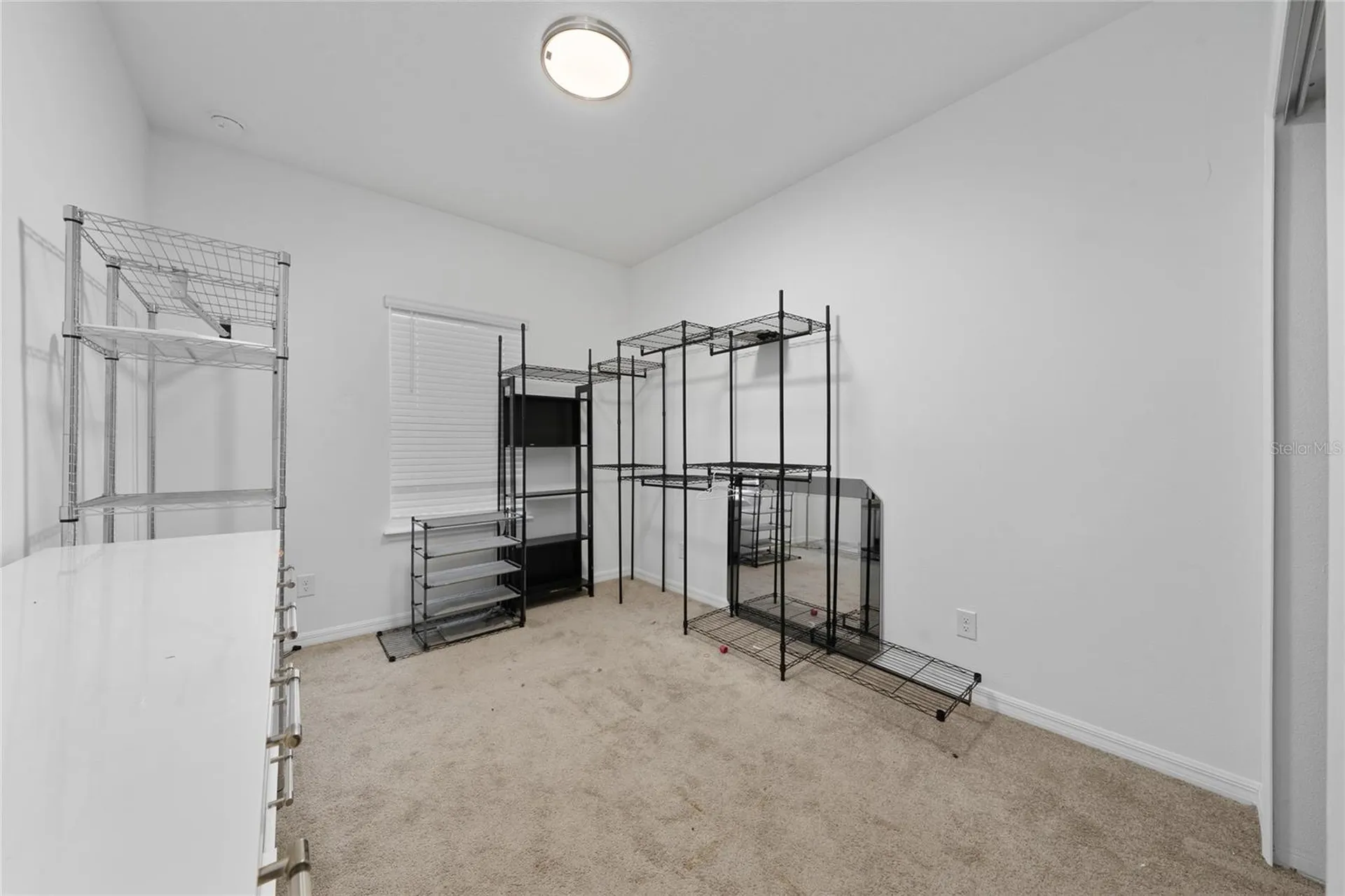 15659 Jungle Alley Winter Garden FL 34787