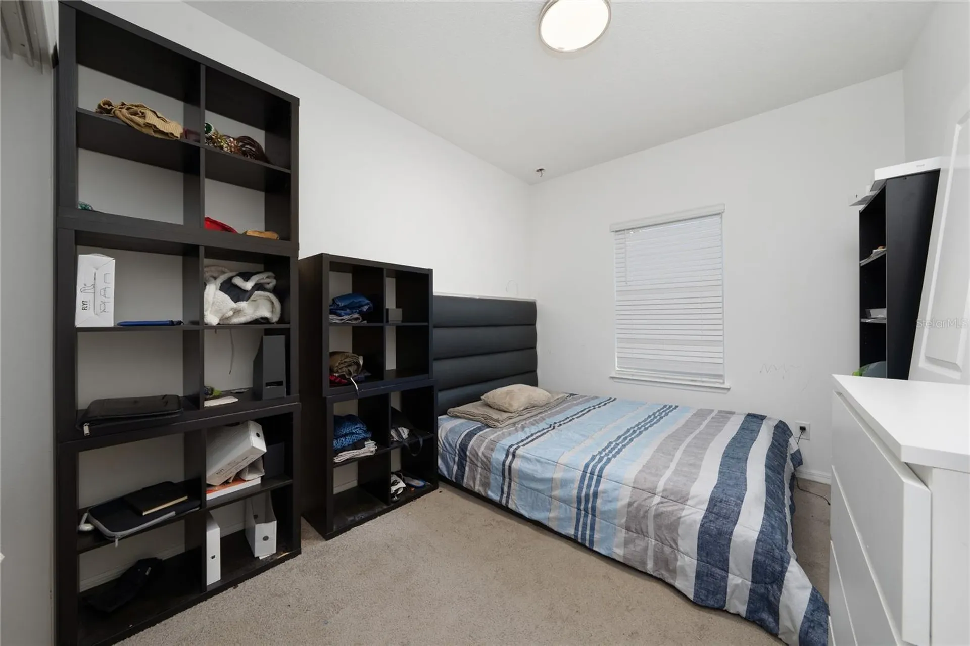 15659 Jungle Alley Winter Garden FL 34787