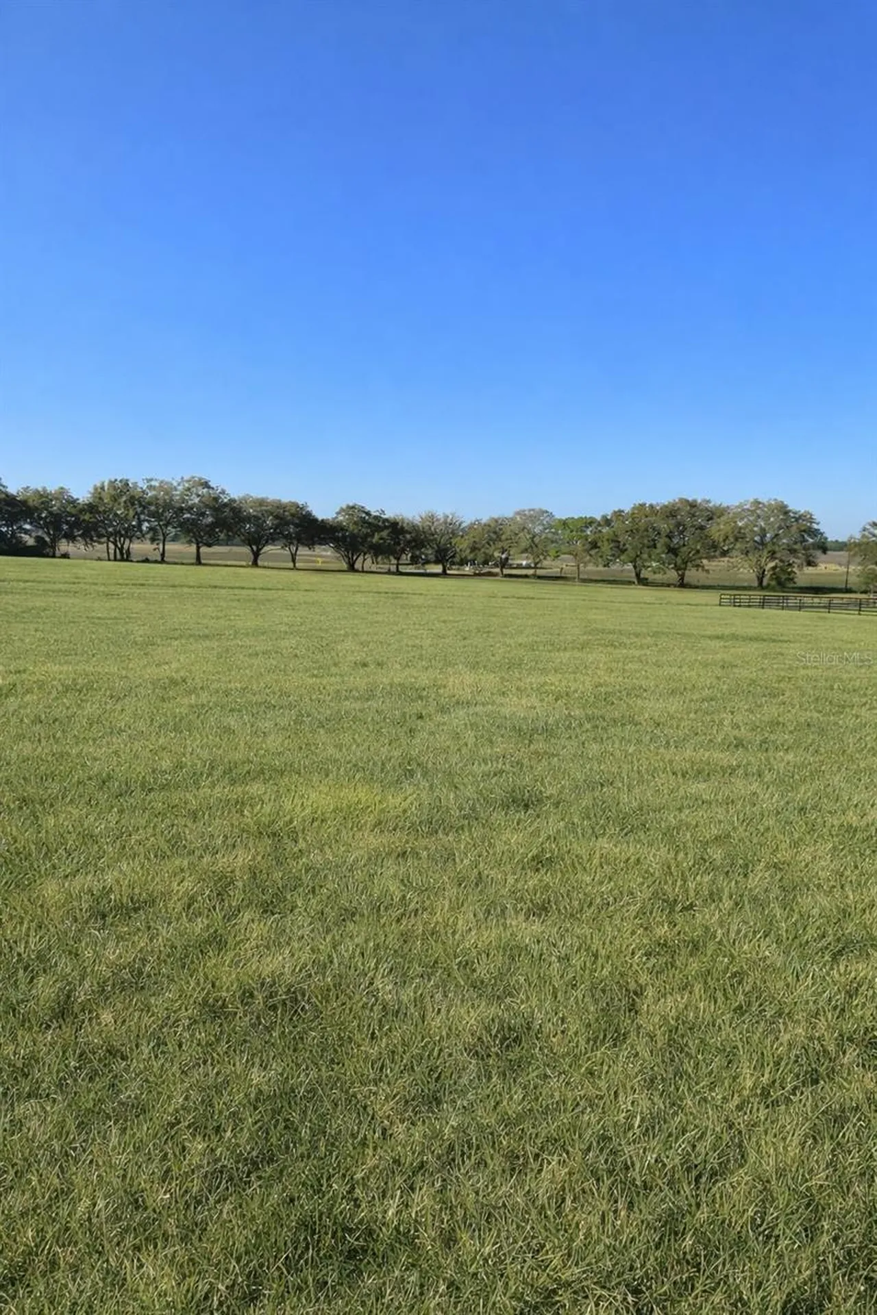 Tbd SW 6 Lane Dunnellon FL 34431