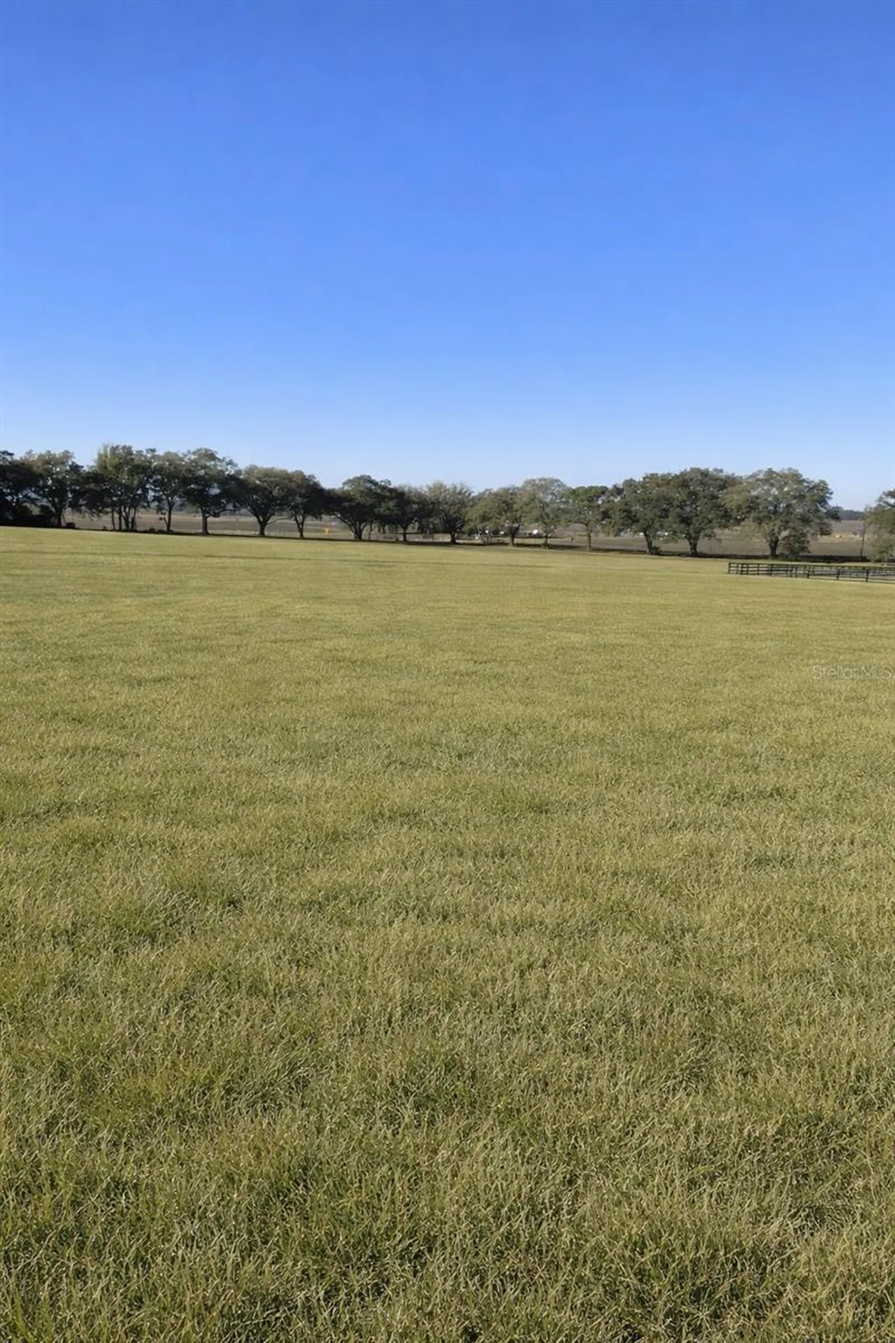 Tbd SW 6 Lane Dunnellon FL 34431