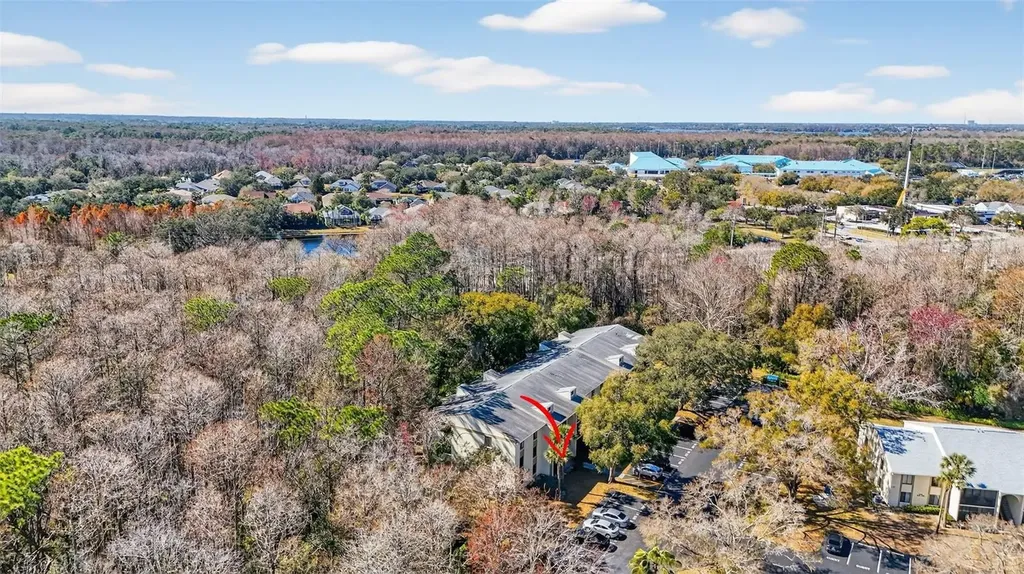 1398 Shady Pine Way Tarpon Springs FL 34688
