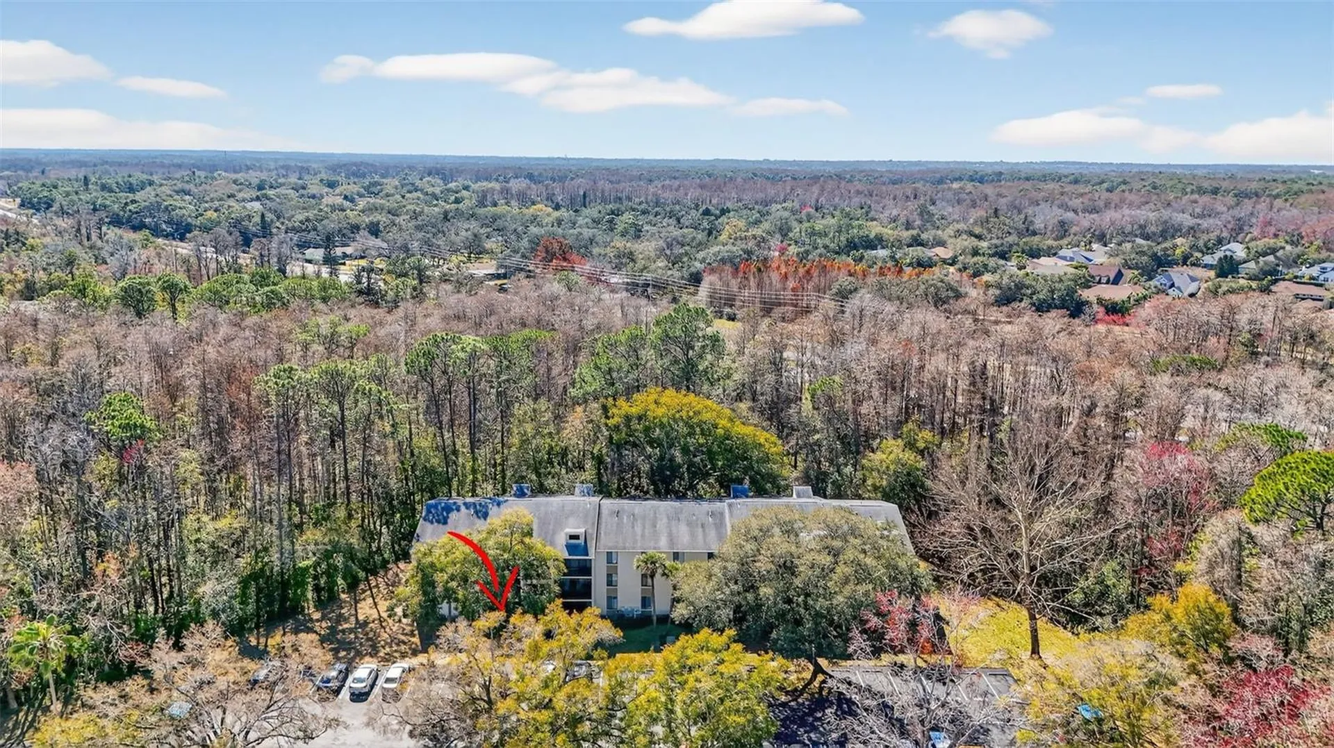 1398 Shady Pine Way Tarpon Springs FL 34688