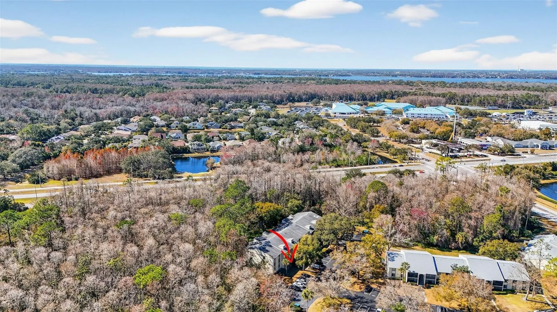 1398 Shady Pine Way Tarpon Springs FL 34688