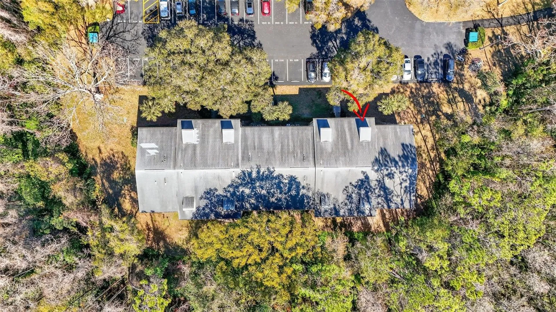 1398 Shady Pine Way Tarpon Springs FL 34688