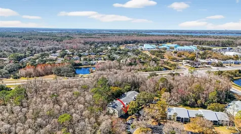 1398 Shady Pine Way Tarpon Springs FL 34688