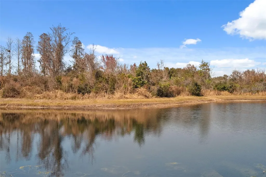 18441 New London Avenue Land O Lakes FL 34638