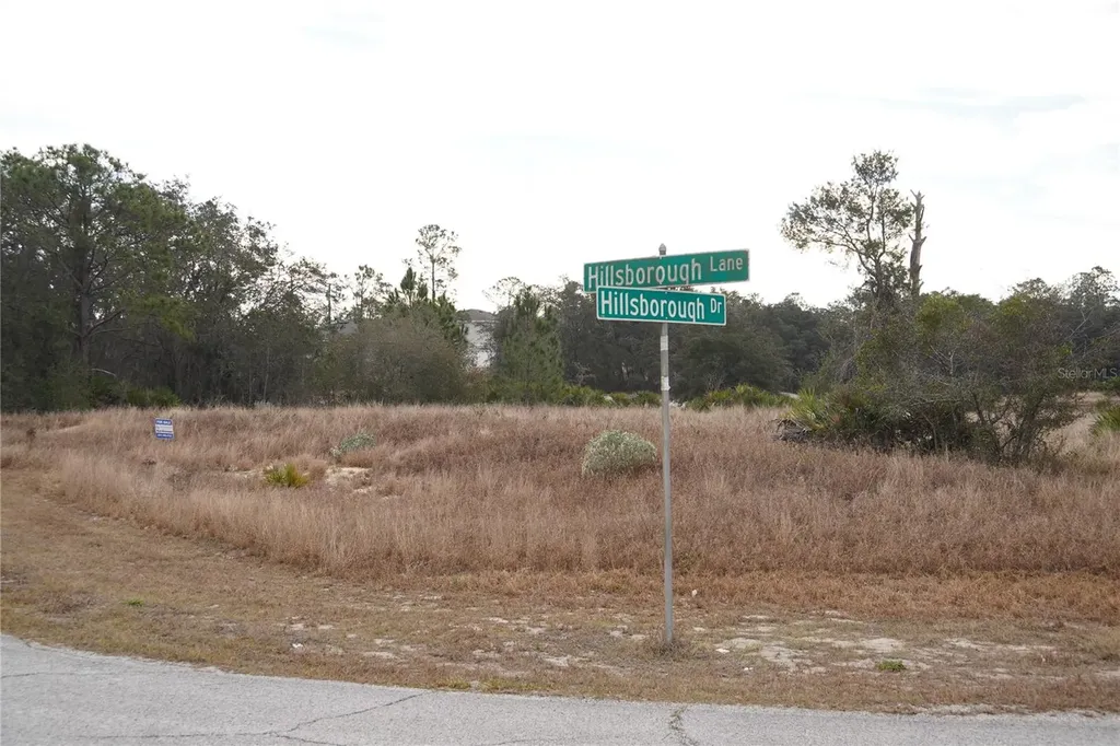 1319 Hillsborough Lane Kissimmee FL 34759