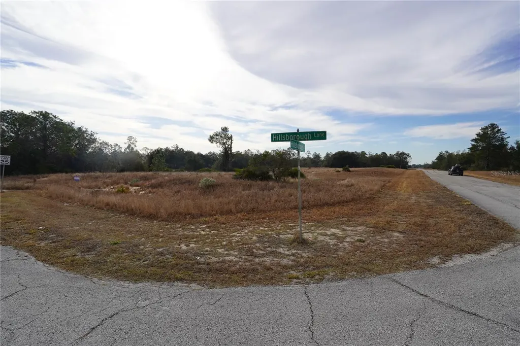 1319 Hillsborough Lane Kissimmee FL 34759