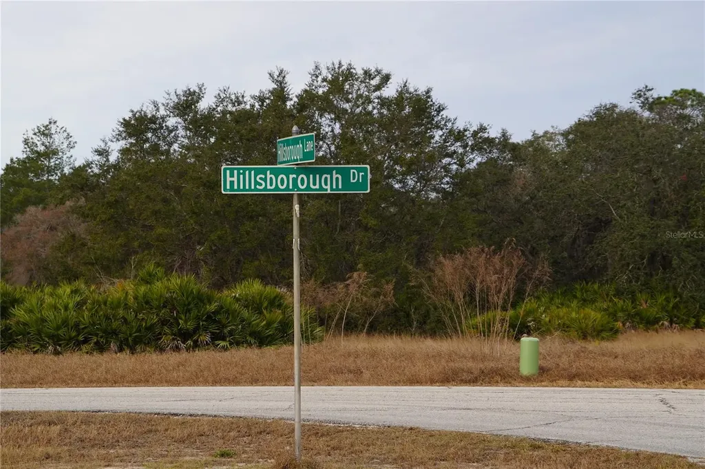 1319 Hillsborough Lane Kissimmee FL 34759