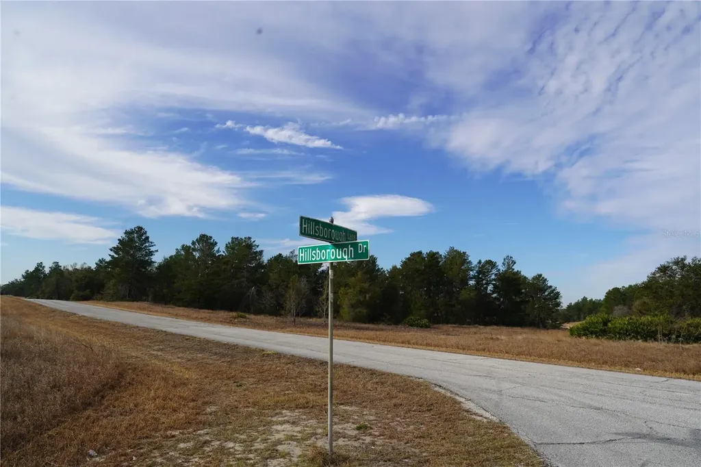 1319 Hillsborough Lane Kissimmee FL 34759
