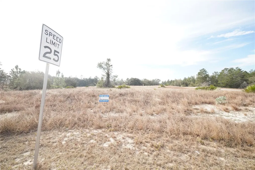 1319 Hillsborough Lane Kissimmee FL 34759