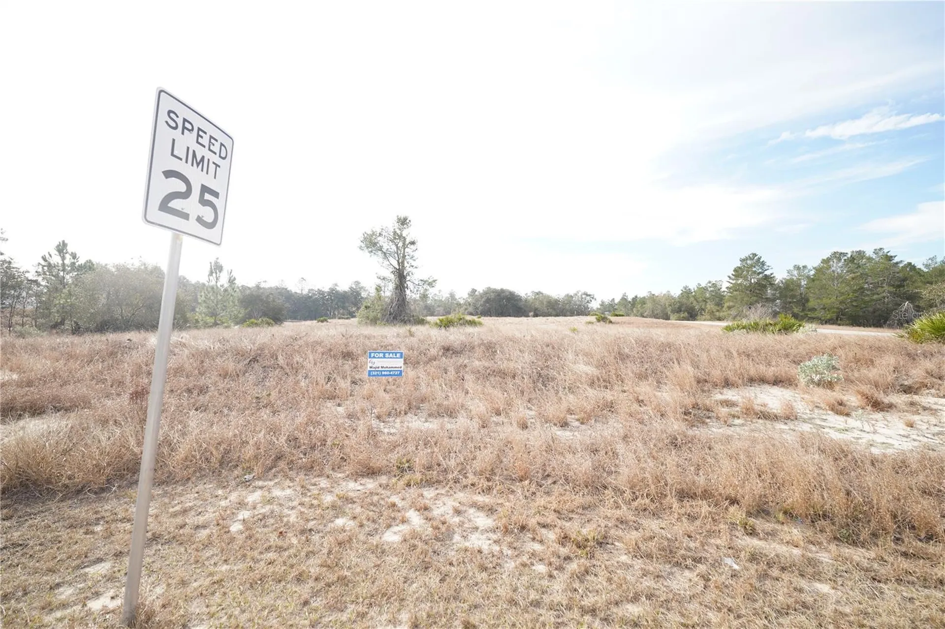 1319 Hillsborough Lane Kissimmee FL 34759