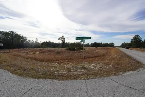 1319 Hillsborough Lane Kissimmee FL 34759