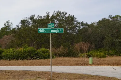 1319 Hillsborough Lane Kissimmee FL 34759