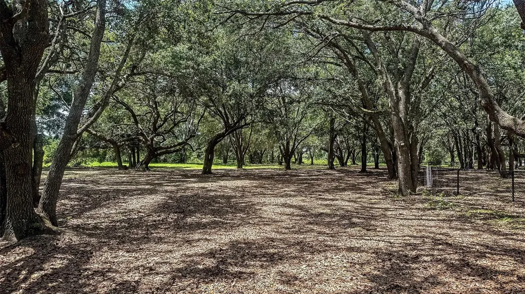 7677 Gemstone Street Groveland FL 34736