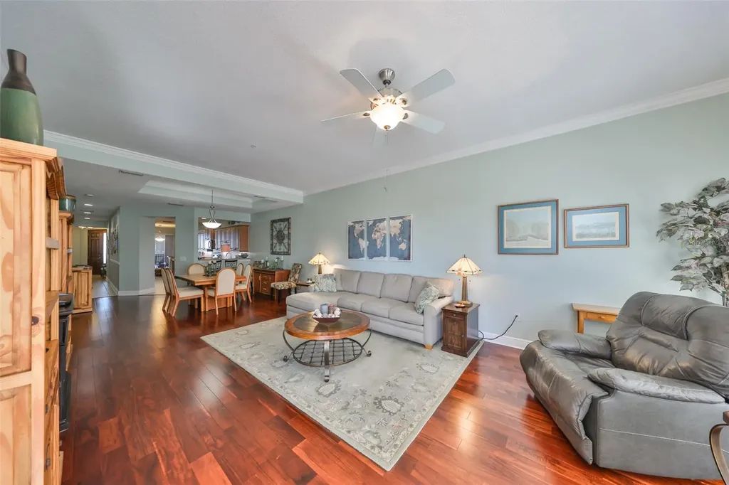 1030 Bellasol Way Apollo Beach FL 33572