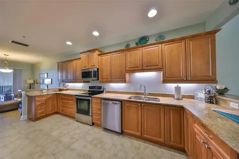 1030 Bellasol Way Apollo Beach FL 33572